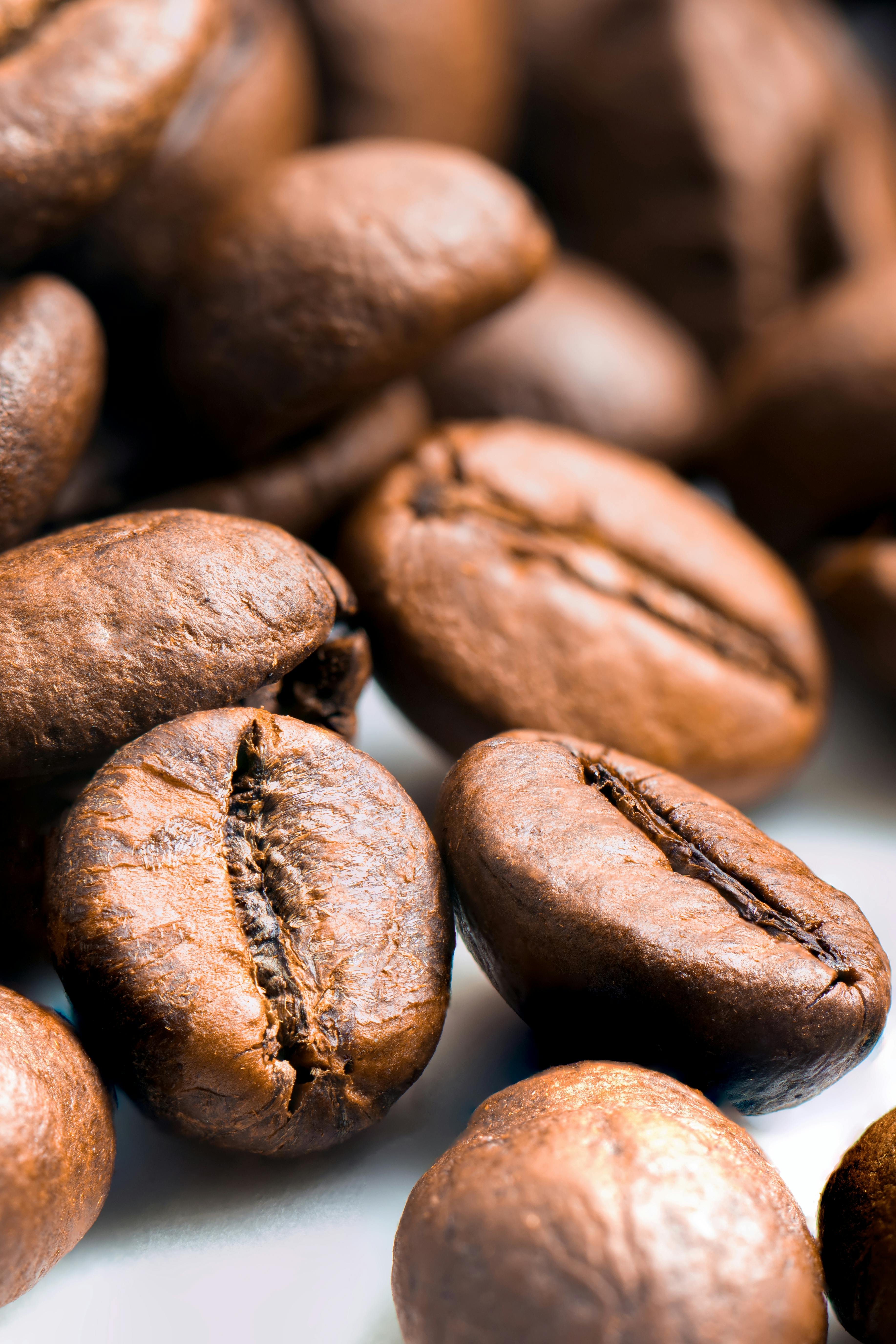 Espressocaps - kafa za ugostiteljstvo