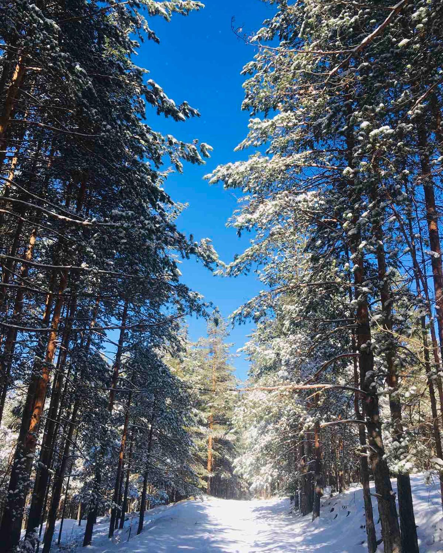 Iznajmljivanje ski opreme